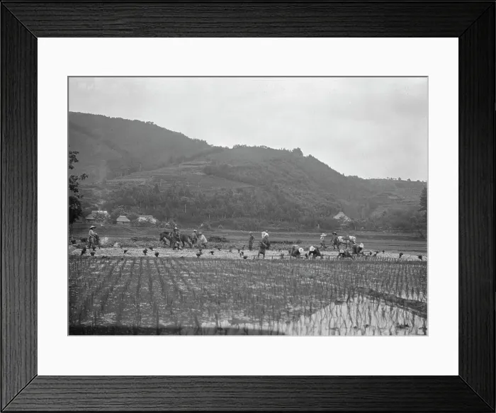 Framed Print : Travel views of Japan and Korea, 1908. Creator: Arnold Genthe