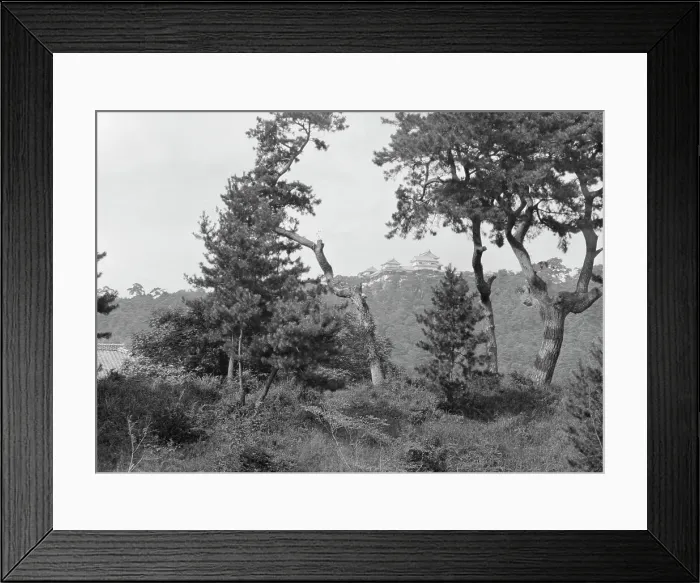 Framed Print : Travel views of Japan and Korea, 1908. Creator: Arnold Genthe Framed Print : Travel views of Japan and Korea, 1908. Creator: Arnold Genthe