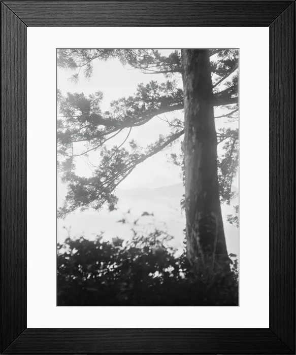 Framed Print : Travel views of Japan and Korea, 1908. Creator: Arnold Genthe Framed Print : Travel views of Japan and Korea, 1908. Creator: Arnold Genthe