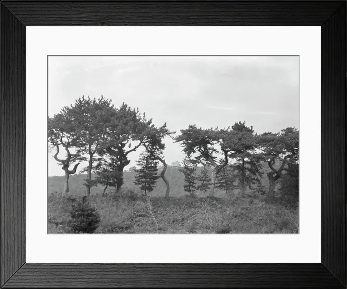 Framed Print : Travel views of Japan and Korea, 1908. Creator: Arnold Genthe Framed Print : Travel views of Japan and Korea, 1908. Creator: Arnold Genthe