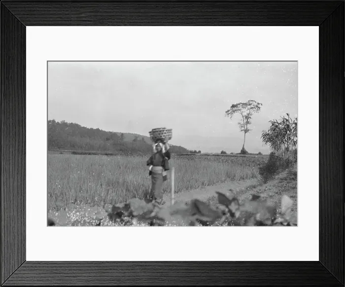 Framed Print : Travel views of Japan and Korea, 1908. Creator: Arnold Genthe Framed Print : Travel views of Japan and Korea, 1908. Creator: Arnold Genthe