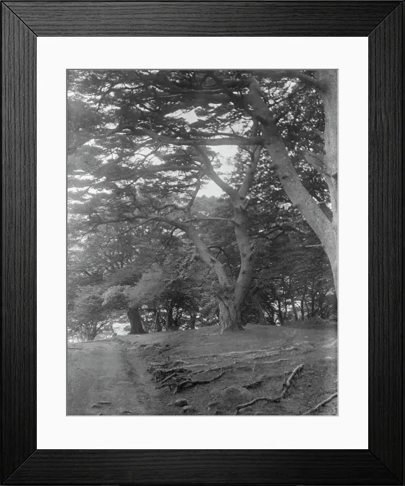 Framed Print : Travel views of Japan and Korea, 1908. Creator: Arnold Genthe Framed Print : Travel views of Japan and Korea, 1908. Creator: Arnold Genthe
