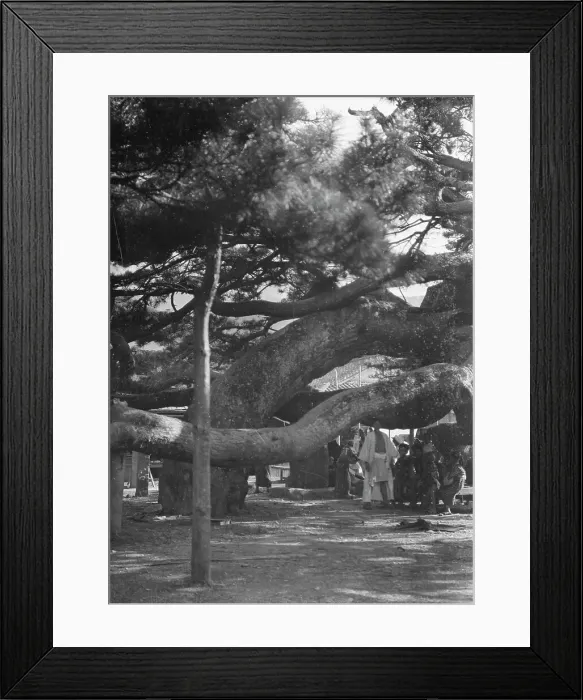 Framed Print : Travel views of Japan and Korea, 1908. Creator: Arnold Genthe Framed Print : Travel views of Japan and Korea, 1908. Creator: Arnold Genthe