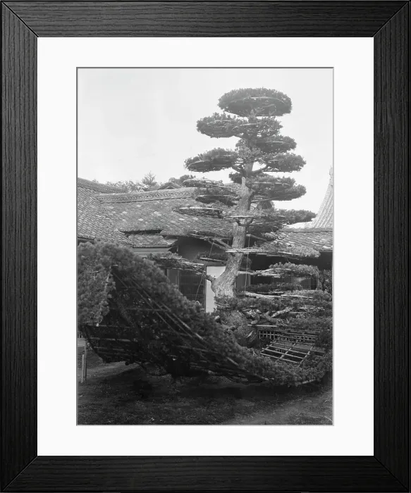 Framed Print : Travel views of Japan and Korea, 1908. Creator: Arnold Genthe Framed Print : Travel views of Japan and Korea, 1908. Creator: Arnold Genthe