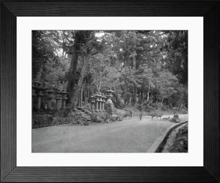 Framed Print : Travel views of Japan and Korea, 1908. Creator: Arnold Genthe Framed Print : Travel views of Japan and Korea, 1908. Creator: Arnold Genthe