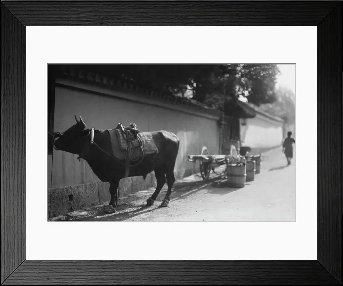 Framed Print : Travel views of Japan and Korea, 1908. Creator: Arnold Genthe Framed Print : Travel views of Japan and Korea, 1908. Creator: Arnold Genthe
