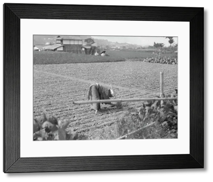 Framed Print : Travel views of Japan and Korea, 1908. Creator: Arnold Genthe Framed Print : Travel views of Japan and Korea, 1908. Creator: Arnold Genthe