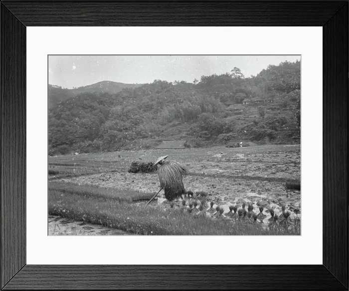 Framed Print : Travel views of Japan and Korea, 1908. Creator: Arnold Genthe Framed Print : Travel views of Japan and Korea, 1908. Creator: Arnold Genthe