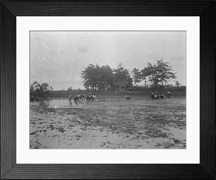Framed Print : Travel views of Japan and Korea, 1908. Creator: Arnold Genthe Framed Print : Travel views of Japan and Korea, 1908. Creator: Arnold Genthe