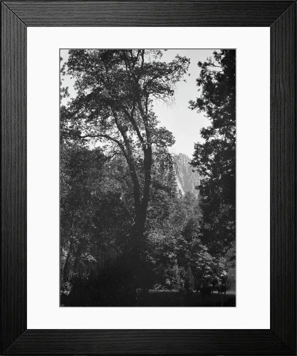 Framed Print : Travel views of Yosemite National Park, between 1903 and 1906. Creator: Arnold Genthe Framed Print : Travel views of Yosemite National Park, between 1903 and 1906. Creator: Arnold Genthe