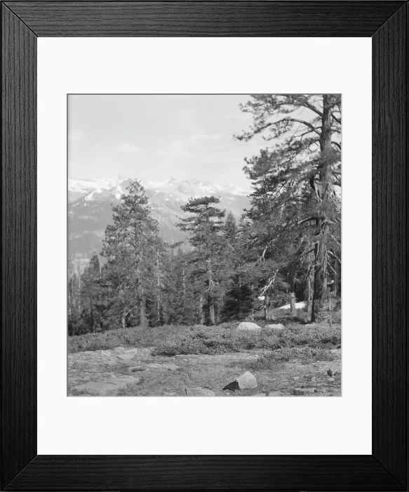 Framed Print : Travel views of Yosemite National Park, between 1903 and 1906. Creator: Arnold Genthe Framed Print : Travel views of Yosemite National Park, between 1903 and 1906. Creator: Arnold Genthe