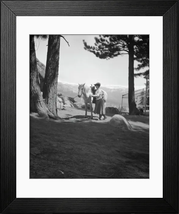 Framed Print : Travel views of Yosemite National Park, between 1903 and 1906. Creator: Arnold Genthe Framed Print : Travel views of Yosemite National Park, between 1903 and 1906. Creator: Arnold Genthe
