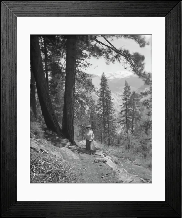 Framed Print : Travel views of Yosemite National Park, between 1903 and 1906. Creator: Arnold Genthe Framed Print : Travel views of Yosemite National Park, between 1903 and 1906. Creator: Arnold Genthe