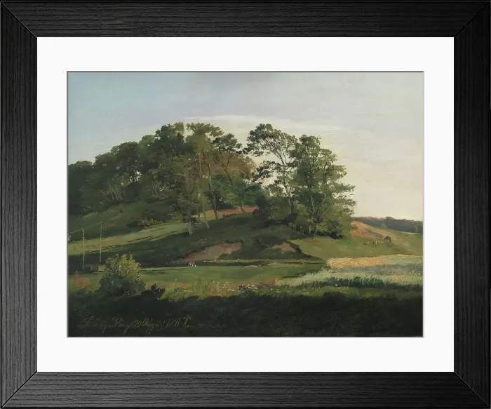 Framed Print : Wooded Hills at Sorupvang, 1841. Creator: Johan Thomas Lundbye Framed Print : Wooded Hills at Sorupvang, 1841. Creator: Johan Thomas Lundbye