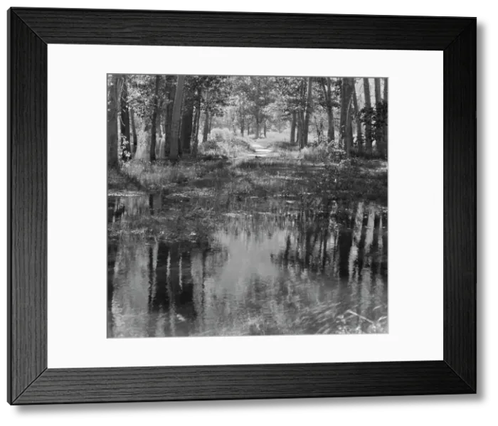 Framed Print : Travel views of Yosemite National Park, between 1903 and 1906. Creator: Arnold Genthe Framed Print : Travel views of Yosemite National Park, between 1903 and 1906. Creator: Arnold Genthe