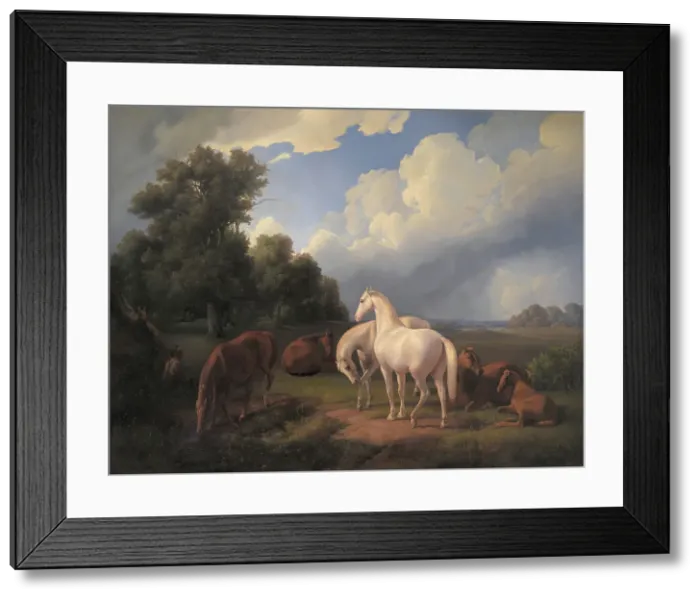 Framed Print : Lucia, Whimsey, Bellona, Hertha, Olga, 1848. Creator: Fritz Thomsen Framed Print : Lucia, Whimsey, Bellona, Hertha, Olga, 1848. Creator: Fritz Thomsen