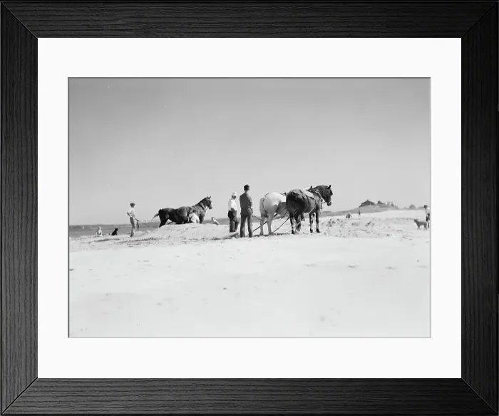 Framed Print : Beach scene with horses, East Hampton, Long Island, between 1933 and 1942. Creator: Arnold Genthe Framed Print : Beach scene with horses, East Hampton, Long Island, between 1933 and 1942. Creator: Arnold Genthe
