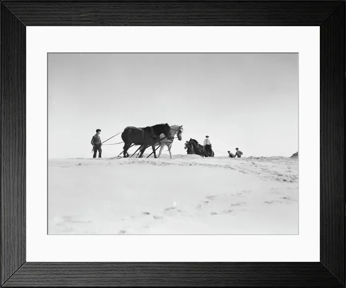 Framed Print : Beach scene with horses, East Hampton, Long Island, between 1933 and 1942. Creator: Arnold Genthe Framed Print : Beach scene with horses, East Hampton, Long Island, between 1933 and 1942. Creator: Arnold Genthe