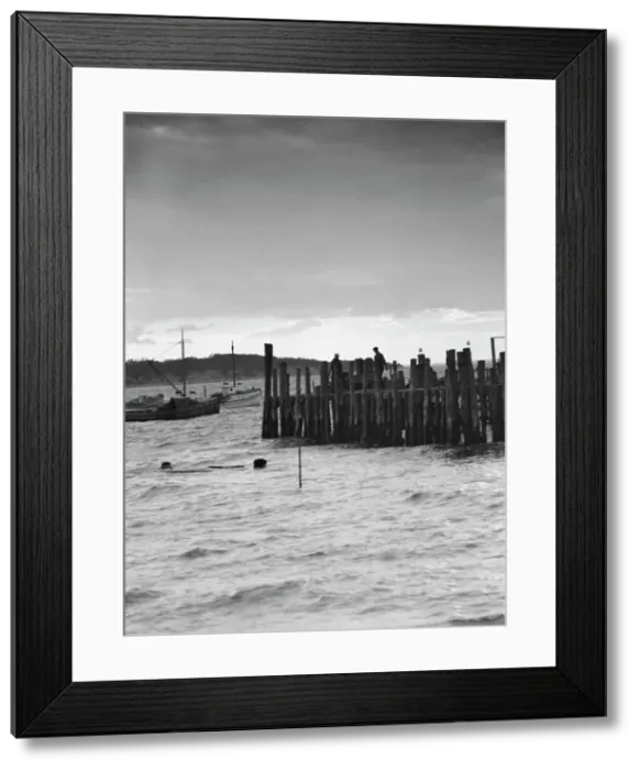 Framed Print : Beach scene, East Hampton, Long Island, between 1933 and 1942. Creator: Arnold Genthe Framed Print : Beach scene, East Hampton, Long Island, between 1933 and 1942. Creator: Arnold Genthe