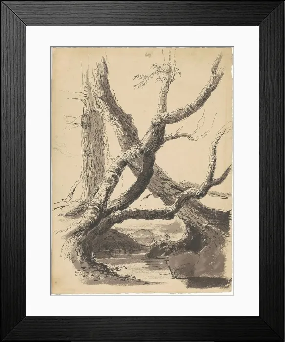 Framed Print : Tree Trunks, 1825-1840. Creator: Thomas Cole Framed Print : Tree Trunks, 1825-1840. Creator: Thomas Cole