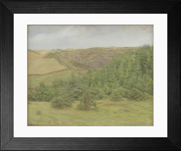 Framed Print : Svanninge Hills, Funen, 1898. Creator: Karl Schou Framed Print : Svanninge Hills, Funen, 1898. Creator: Karl Schou