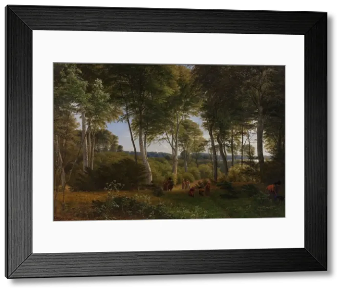 Framed Print : Delhoved Wood near Lake Skarre, Zealand - Afternoon Light, 1847. Creator: Peter Christian Thamsen Skovgaard Framed Print : Delhoved Wood near Lake Skarre, Zealand - Afternoon Light, 1847. Creator: Peter Christian Thamsen Skovgaard