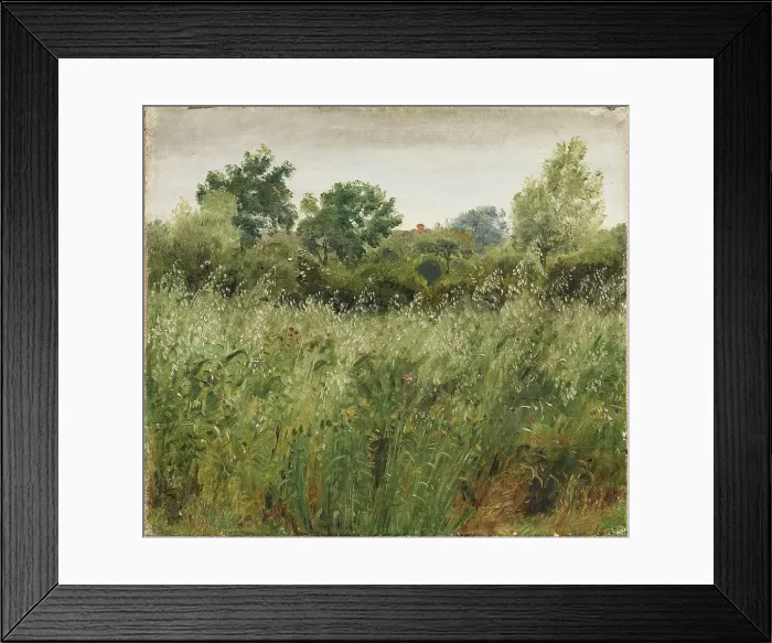 Framed Print : Field of Oats near Vejby, 1843. Creator: Peter Christian Thamsen Skovgaard Framed Print : Field of Oats near Vejby, 1843. Creator: Peter Christian Thamsen Skovgaard