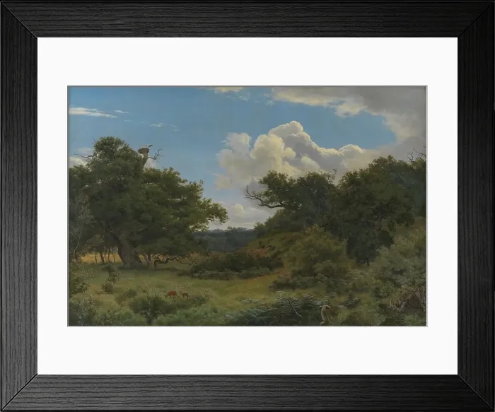 Framed Print : Oak Trees in Nordskoven near Jægerspris, Zealand, 1843. Creator: Peter Christian Thamsen Skovgaard Framed Print : Oak Trees in Nordskoven near Jægerspris, Zealand, 1843. Creator: Peter Christian Thamsen Skovgaard