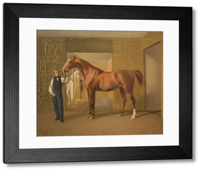 Framed Print : Lord Cochrane, 1834-1872. Creator: Fritz Thomsen Framed Print : Lord Cochrane, 1834-1872. Creator: Fritz Thomsen