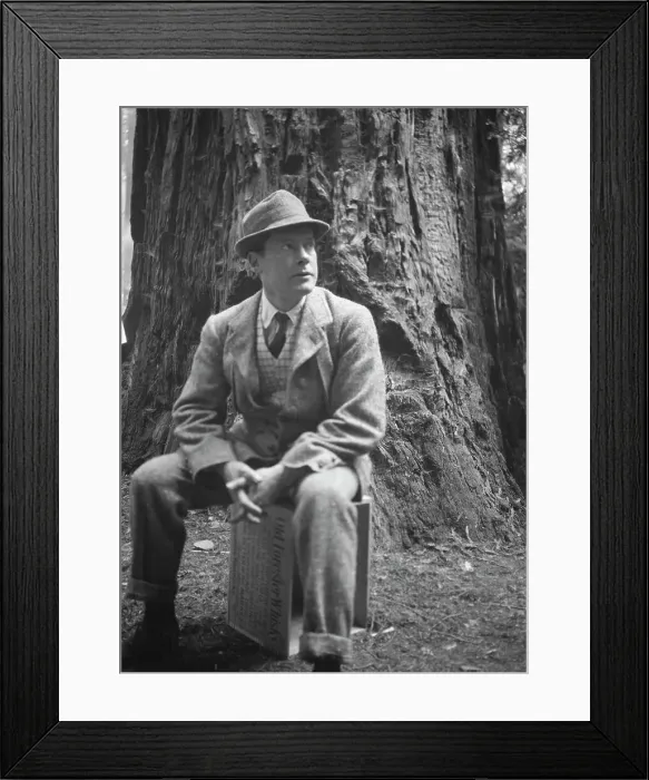 Framed Print : Bohemian Club Grove scene, between 1896 and 1942. Creator: Arnold Genthe Framed Print : Bohemian Club Grove scene, between 1896 and 1942. Creator: Arnold Genthe