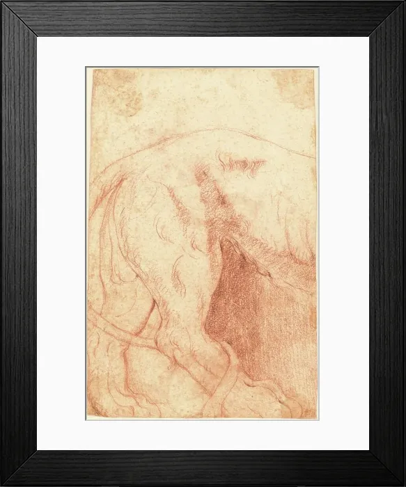 Framed Print : Fragment of a Lion Bas-Relief (verso), 1750s. Creator: Giovanni Battista Piranesi Framed Print : Fragment of a Lion Bas-Relief (verso), 1750s. Creator: Giovanni Battista Piranesi