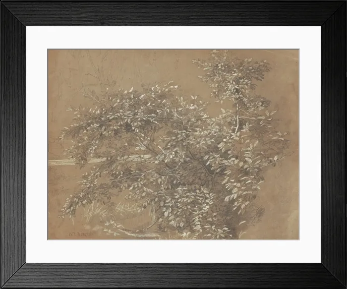 Framed Print : Foliage, late 19th century. Creator: William Trost Richards Framed Print : Foliage, late 19th century. Creator: William Trost Richards