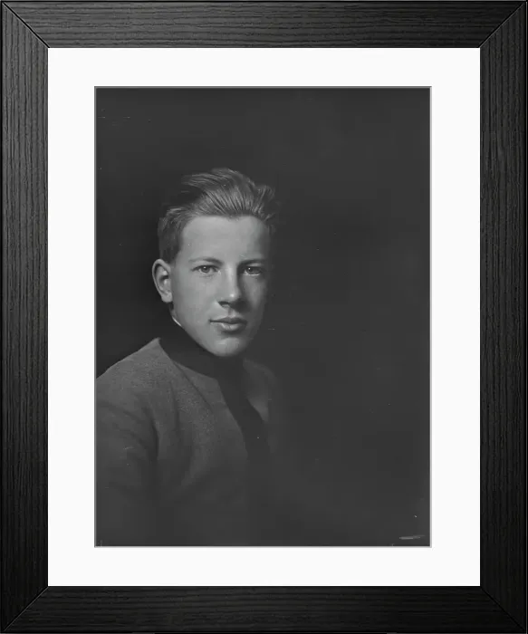 Framed Print : Mr. W.W. Davies Jr. portrait photograph, 1919 Jan. Creator: Arnold Genthe Framed Print : Mr. W.W. Davies Jr. portrait photograph, 1919 Jan. Creator: Arnold Genthe