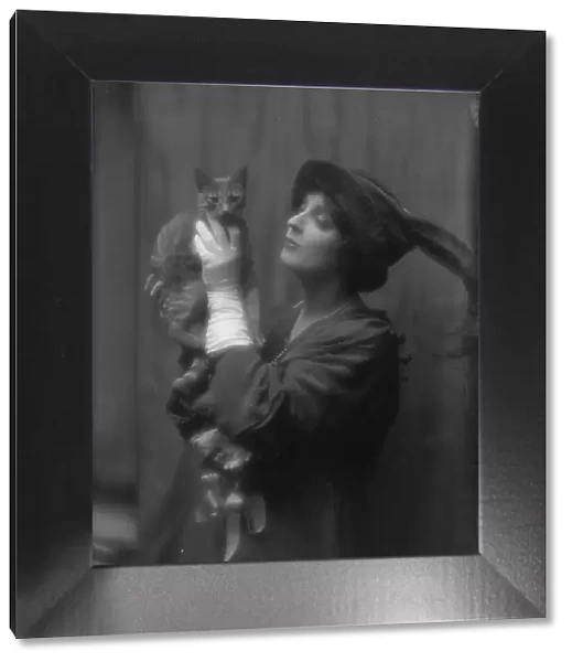 Cowl, Jane, Miss, with Buzzer the cat, portrait photograph, between 1912 and 1914. Creator: Arnold Genthe
