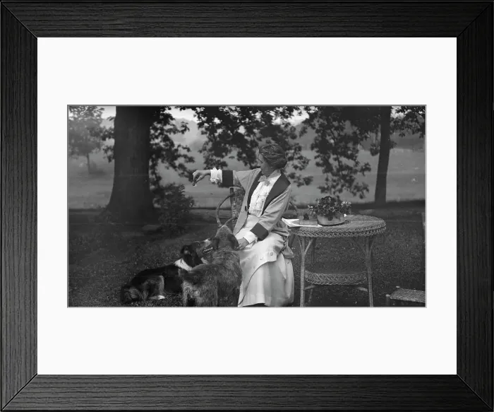 Framed Print : Tarbell, Ida, Miss, with dogs, seated outdoors, 1912 or 1913. Creator: Arnold Genthe Framed Print : Tarbell, Ida, Miss, with dogs, seated outdoors, 1912 or 1913. Creator: Arnold Genthe