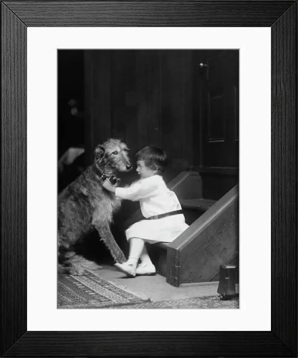 Framed Print : Plottner boy with dog, portrait photograph, 1907 Oct. 16. Creator: Arnold Genthe Framed Print : Plottner boy with dog, portrait photograph, 1907 Oct. 16. Creator: Arnold Genthe