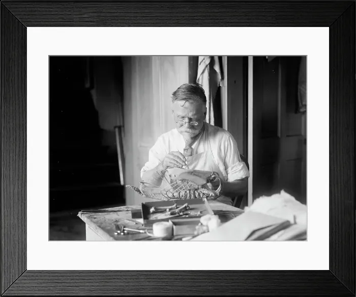 Framed Print : J. W. Scollick of Smithsonian Institute, 1916. Creator: Harris & Ewing. J. W. Scollick of Smithsonian Institute, 1916. Creator: Harris & Ewing Framed Print : J. W. Scollick of Smithsonian Institute, 1916. Creator: Harris & Ewing. J. W. Scollick of Smithsonian Institute, 1916. Creator: Harris & Ewing