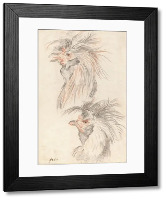 Framed Print : Fighting Cock, c. 1775. Creator: Johann Rudolf Schellenburg Framed Print : Fighting Cock, c. 1775. Creator: Johann Rudolf Schellenburg
