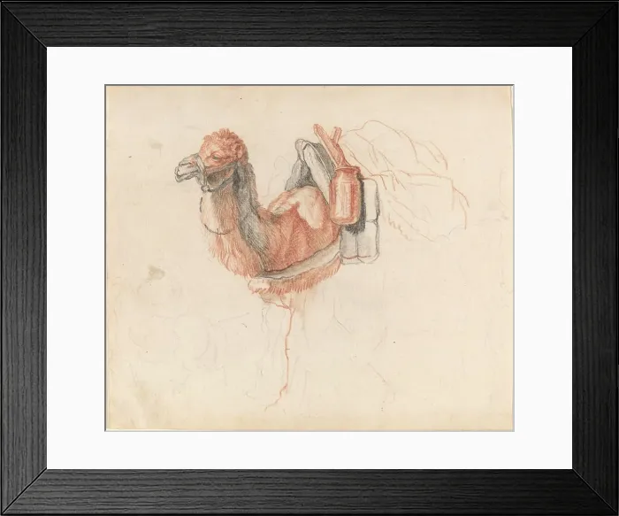 Framed Print : Camel, 1770s. Creator: Johann Rudolf Schellenburg Framed Print : Camel, 1770s. Creator: Johann Rudolf Schellenburg