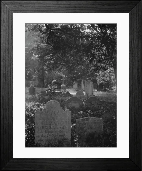 Framed Print : Cemetery, New Orleans or Charleston, South Carolina, between 1920 and 1926. Creator: Arnold Genthe Framed Print : Cemetery, New Orleans or Charleston, South Carolina, between 1920 and 1926. Creator: Arnold Genthe