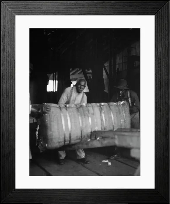 Framed Print : At the cotton press, New Orleans, between 1920 and 1926. Creator: Arnold Genthe Framed Print : At the cotton press, New Orleans, between 1920 and 1926. Creator: Arnold Genthe