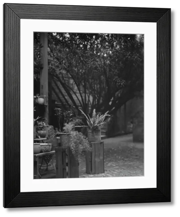Framed Print : Courtyard, New Orleans, between 1920 and 1926. Creator: Arnold Genthe Framed Print : Courtyard, New Orleans, between 1920 and 1926. Creator: Arnold Genthe