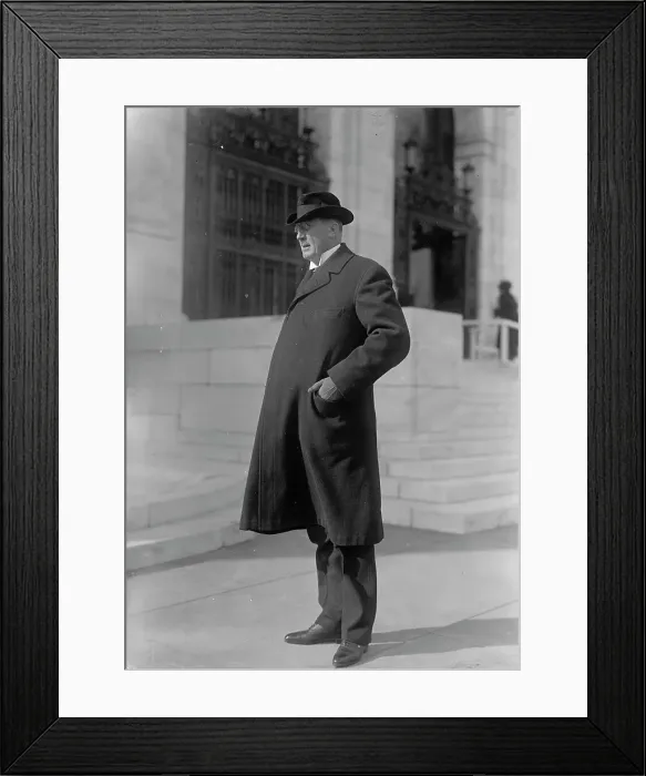Framed Print : R. Goodwin [sic] Rhett of Charleston, South Carolina, 1916. Creator: Harris & Ewing. R. Goodwin [sic] Rhett of Charleston, South Carolina, 1916. Creator: Harris & Ewing