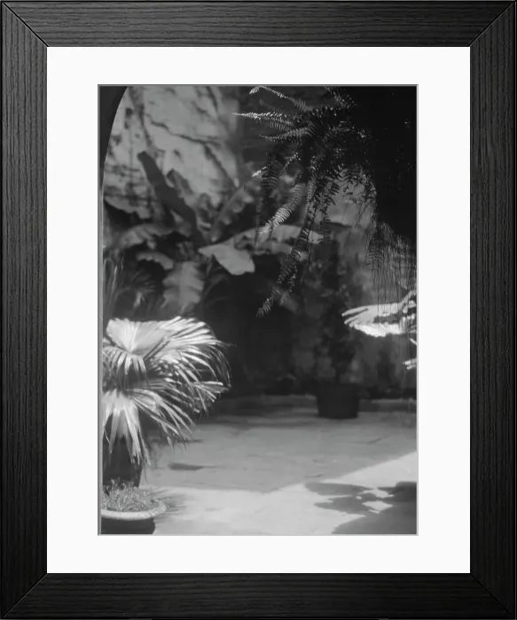 Framed Print : Courtyard, New Orleans, between 1920 and 1926. Creator: Arnold Genthe Framed Print : Courtyard, New Orleans, between 1920 and 1926. Creator: Arnold Genthe