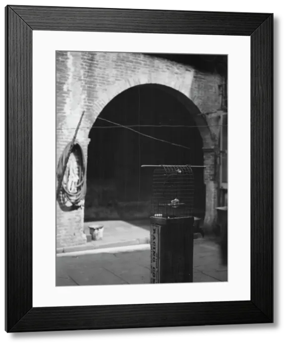 Framed Print : Courtyard, New Orleans, between 1920 and 1926. Creator: Arnold Genthe Framed Print : Courtyard, New Orleans, between 1920 and 1926. Creator: Arnold Genthe