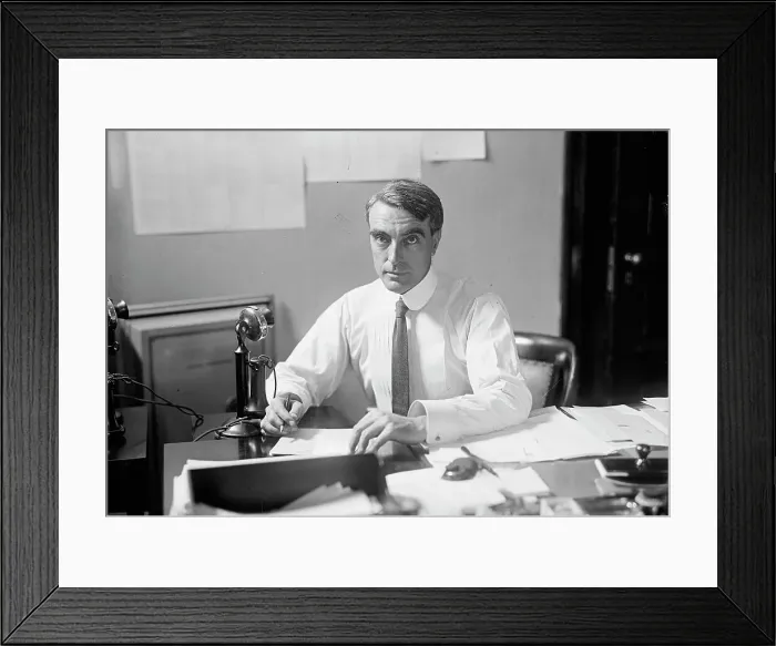 Framed Print : Edgar Rickard, Executive Asst. U.S. Food Administration, 1917. Creator: Harris & Ewing. Edgar Rickard, Executive Asst. U.S. Food Administration, 1917. Creator: Harris & Ewing Framed Print : Edgar Rickard, Executive Asst. U.S. Food Administration, 1917. Creator: Harris & Ewing. Edgar Rickard, Executive Asst. U.S. Food Administration, 1917. Creator: Harris & Ewing