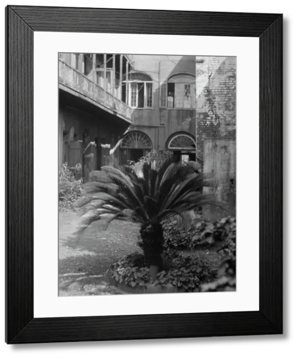 Framed Print : Courtyard, New Orleans, between 1920 and 1926. Creator: Arnold Genthe Framed Print : Courtyard, New Orleans, between 1920 and 1926. Creator: Arnold Genthe