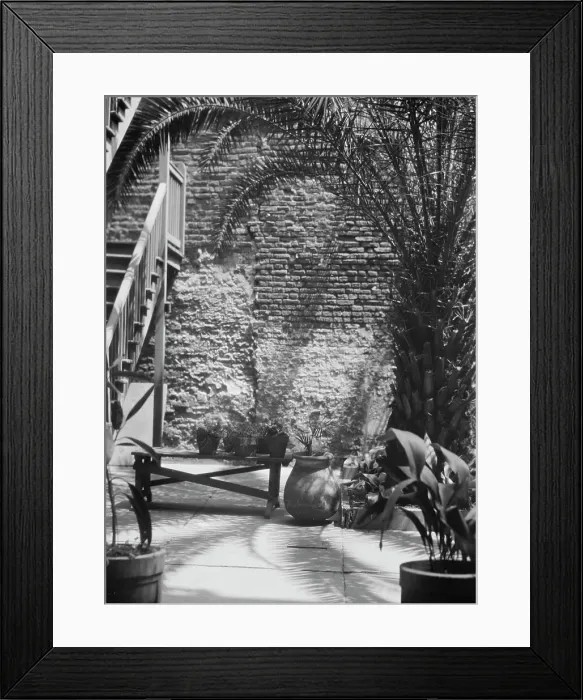 Framed Print : Palm courtyard, New Orleans, between 1920 and 1926. Creator: Arnold Genthe Framed Print : Palm courtyard, New Orleans, between 1920 and 1926. Creator: Arnold Genthe