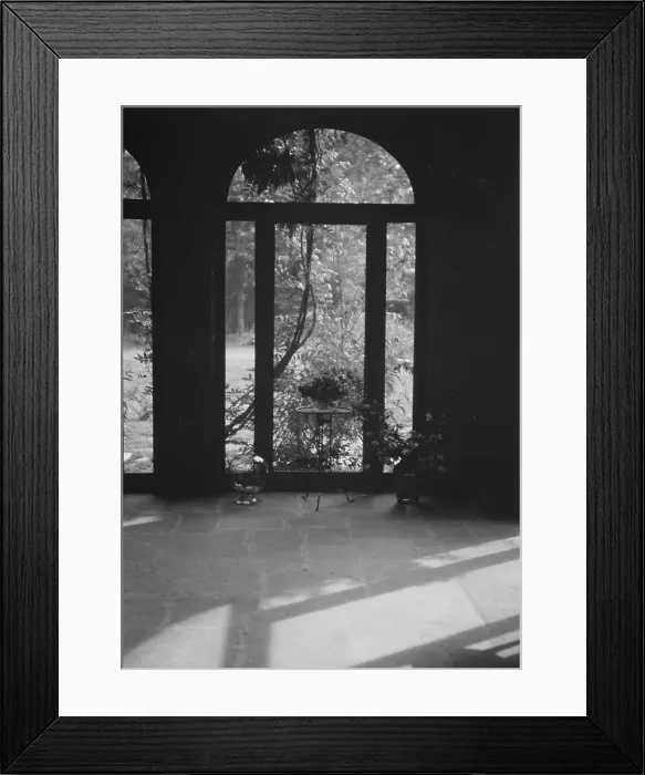 Framed Print : View through arched window into a courtyard, New Orleans or Charleston, South Carolina, c1920-c1926. Creator: Arnold Genthe Framed Print : View through arched window into a courtyard, New Orleans or Charleston, South Carolina, c1920-c1926. Creator: Arnold Genthe
