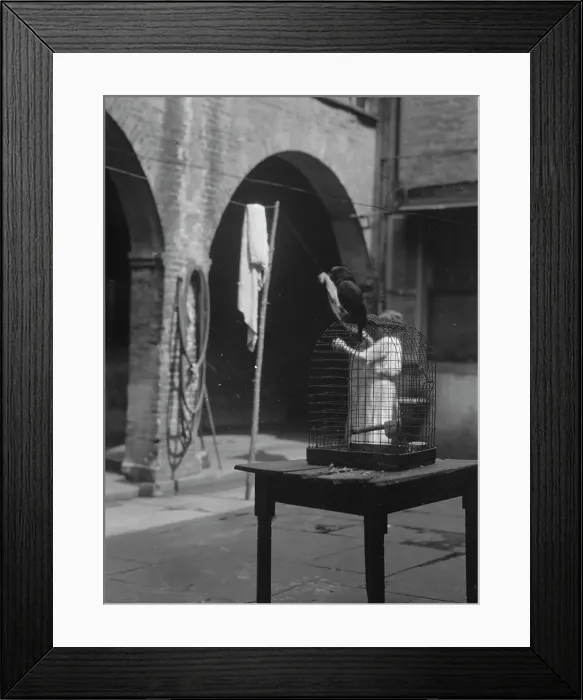 Framed Print : Woman working in a courtyard, New Orleans, between 1920 and 1926. Creator: Arnold Genthe Framed Print : Woman working in a courtyard, New Orleans, between 1920 and 1926. Creator: Arnold Genthe